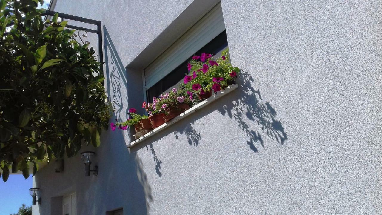 Apartment Lavander 01 Pula Exterior foto